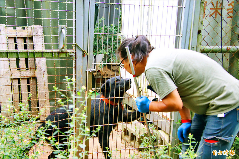 新埔私人狗園涉虐待》犬隻擬安置動保收容所 志工反彈