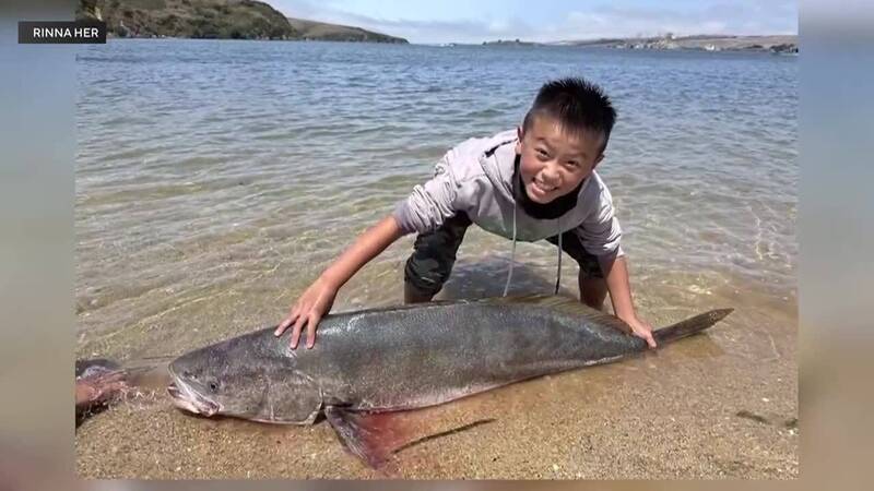 超大！ 加州13歲少年釣起28.9公斤海鱸魚 有望破世界紀錄