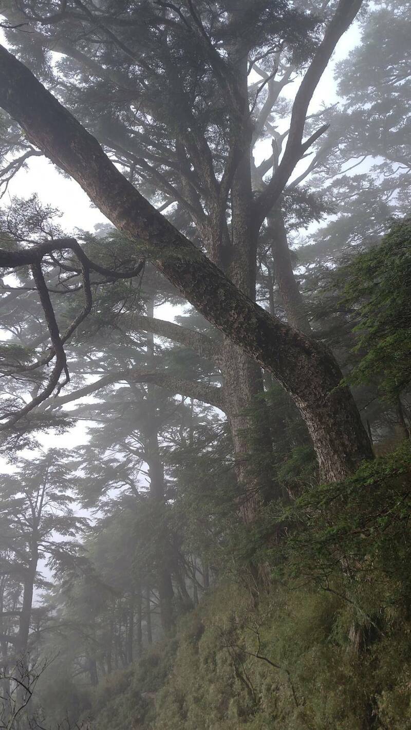 獨攀男八通關山迷途獲救 玉管處：善用離線地圖防迷路