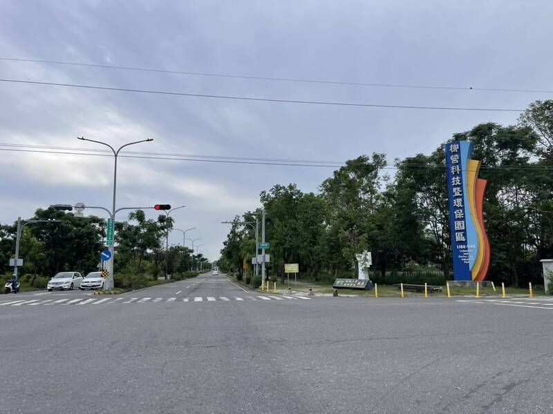 丹娜絲颱風重創台南工業區樹倒上千棵 柳科880棵占8成