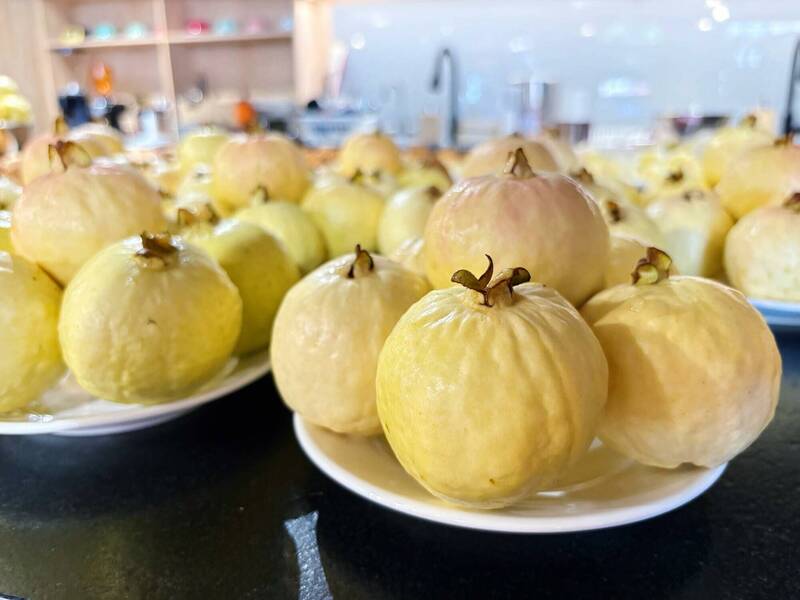 宜蘭甜心芭樂盛產 胭脂紅果皮如「羞澀少女」