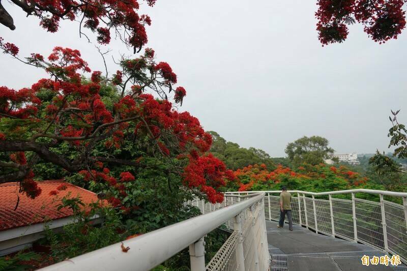 彰化市天空步道。（資料照，記者劉曉欣攝）