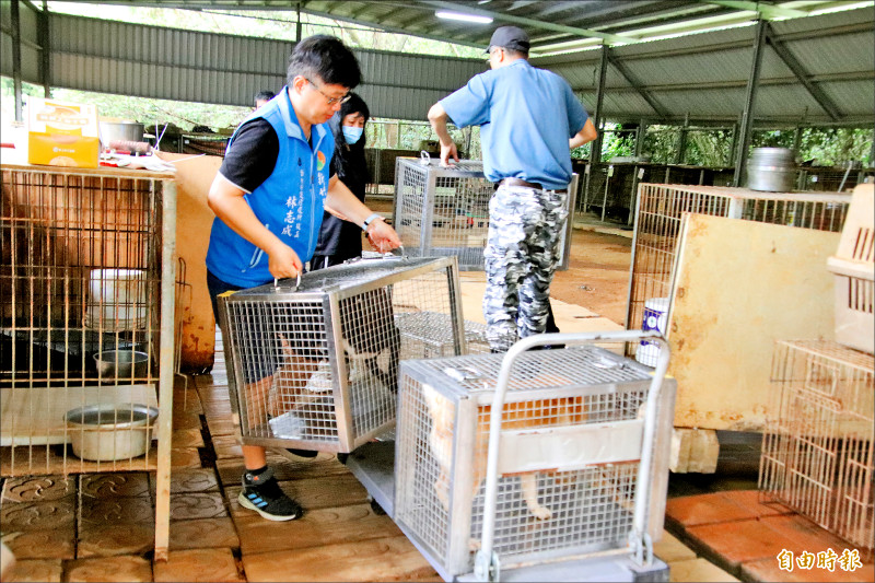 新埔虐狗案 10隻飼主領回24隻待認養