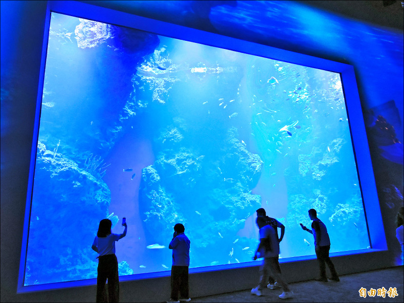 議員提案台中海洋館市民免費 中市府︰檢討票價