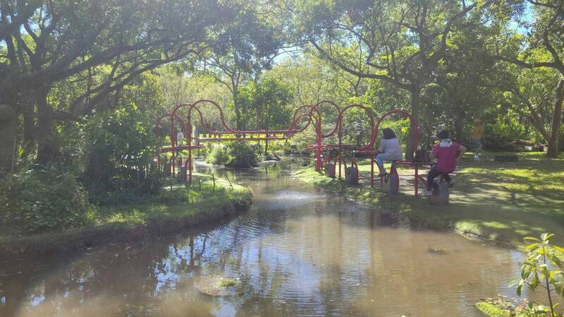 一兼二顧！大安森林公園「活水飛輪」活化83座泳池水 長者減重8公斤