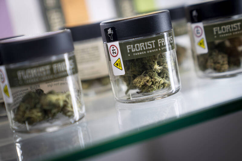 泰國加強管制大麻花 僅限5種醫療用途