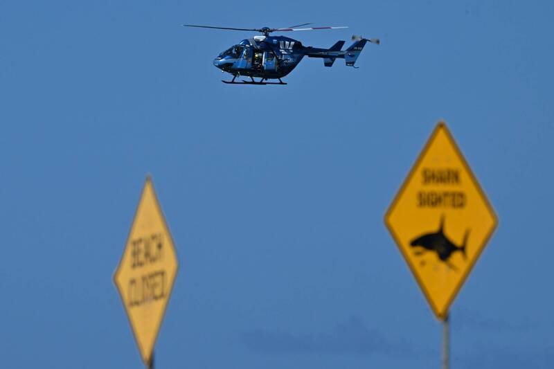 雪梨發生大白鯊攻擊致死事件  無人機海灘上空尋蹤