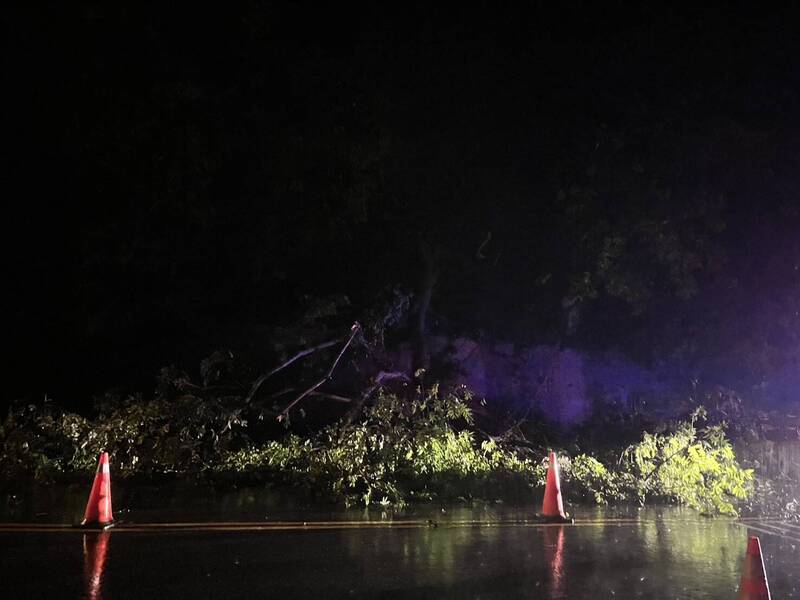 苗栗台3線豪雨路樹倒塌 北上路段中斷4小時搶通
