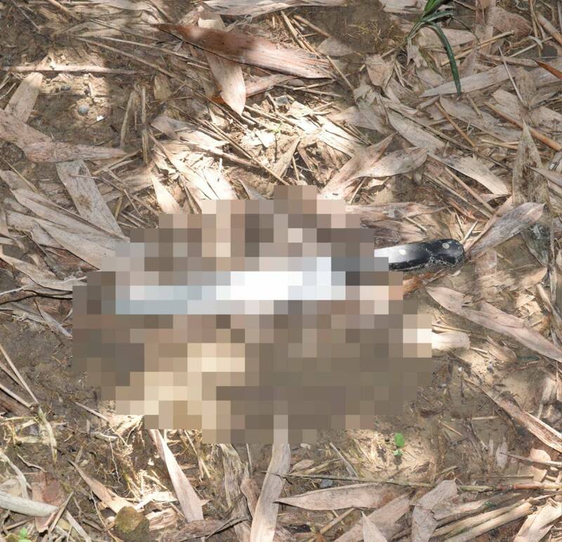 警方在竹林發現水果刀。（警方提供）