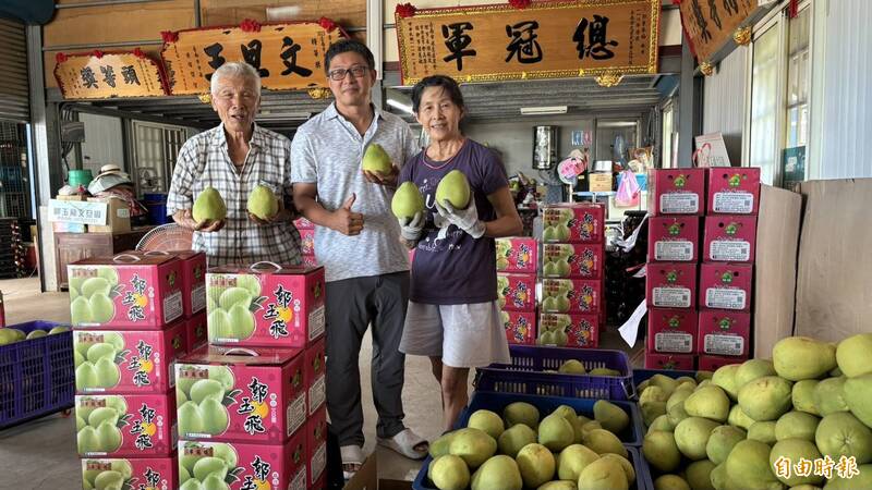 風災後麻豆文旦搶手! 「台南文旦王」完售  還拜託老客戶減量買