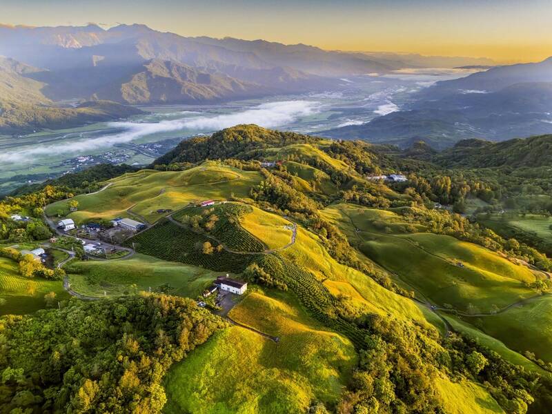 花蓮縣富里鄉今天舉行首屆結合金針花季與山徑挑戰的觀光運動賽事「六十石山半程馬拉松・勇者挑戰賽」，今年花季將持續到10月初。（富里鄉公所提供）