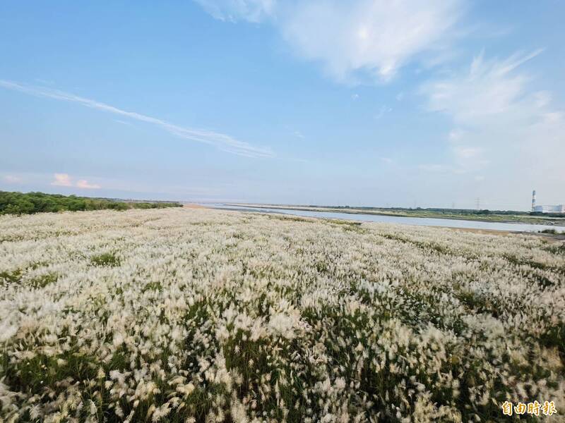 濁水溪秋季限定美景 網友：台灣史詩級美景