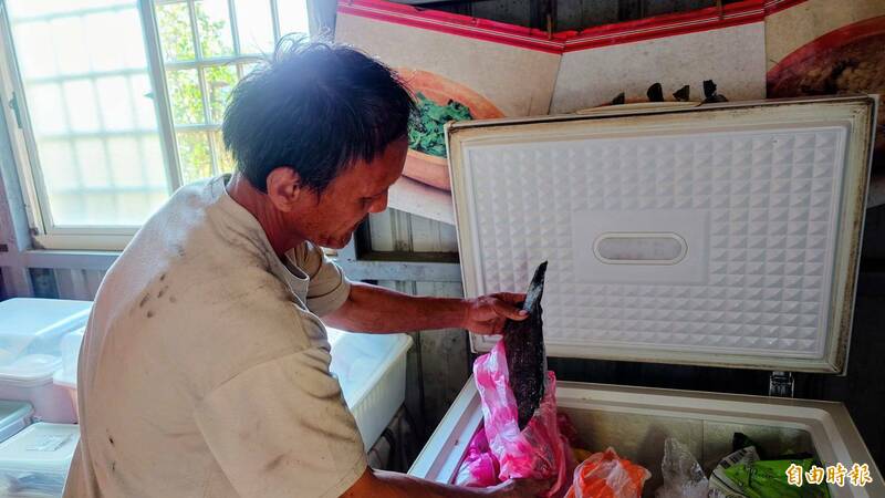 同禮部落居民已能儲存及享用海魚等各式海鮮。（記者游太郎攝）