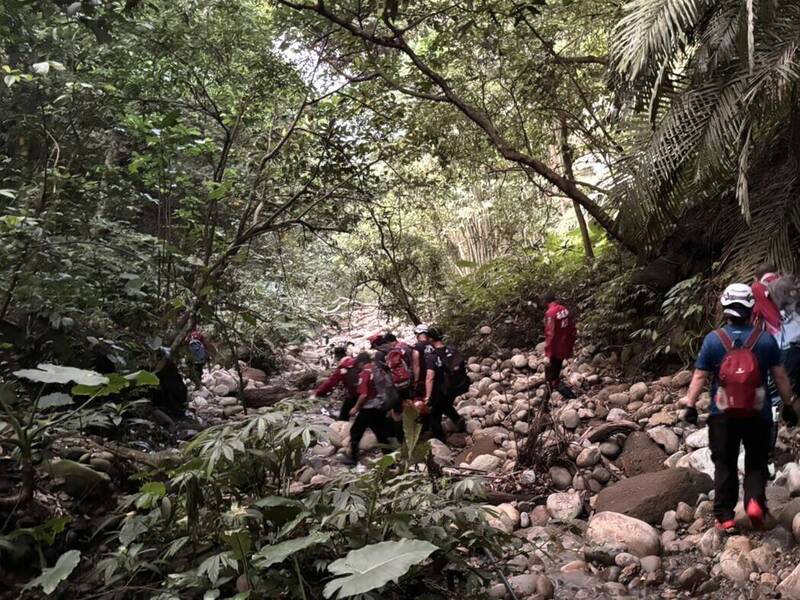 鹿谷東照山傳迷路墜谷！獨攀男脊椎受傷 消防馳援脫困