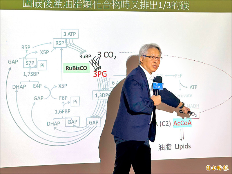中研院突破植物固碳機制 有助解決糧荒