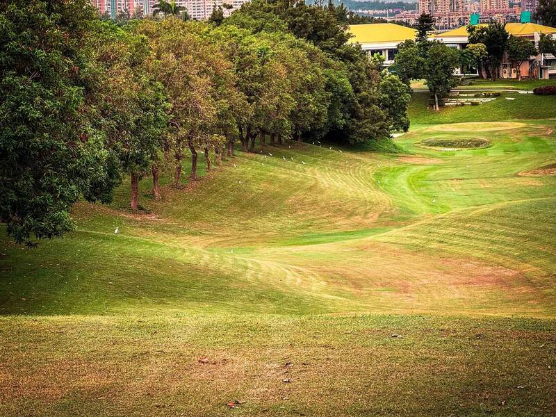 市府改造高雄高爾夫球場  70公頃果嶺自然公園即將開箱