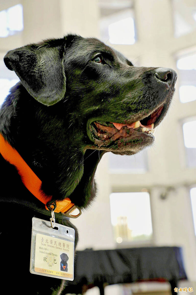 《TAIPEI TIMES》 The nation’s first therapy dog Oba retires