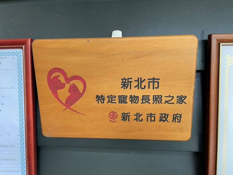 新北高齡犬貓佔比逾2成 新北推長照培訓助飼主減壓