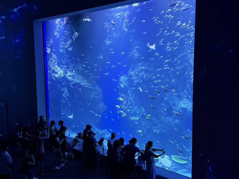 台中海洋館已試營運。（圖：市府提供）