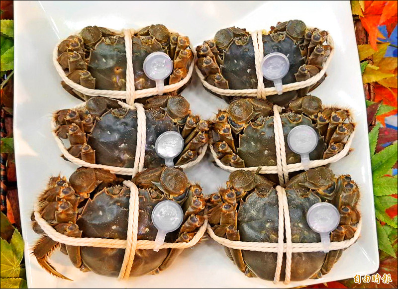 苗栗縣優質大閘蟹上市，標章上的QR碼可供消費者查詢。（記者張勳騰攝）