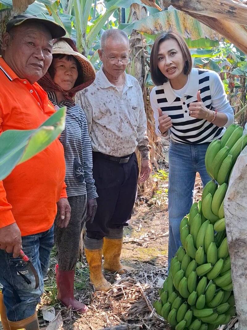 高雄旗山香蕉價格崩跌？ 邱議瑩怒批「勿用謠言傷害蕉農」！