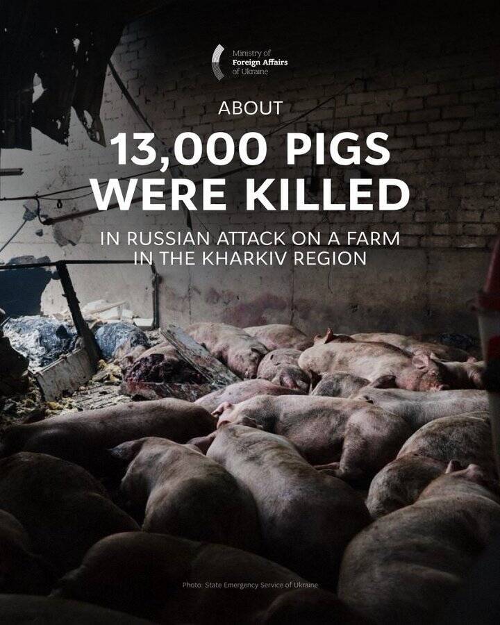 俄羅斯無人機夜間攻擊烏克蘭東北部，農場大火造成1萬3000頭豬隻死亡。（擷取自烏克蘭外交部X平台）
