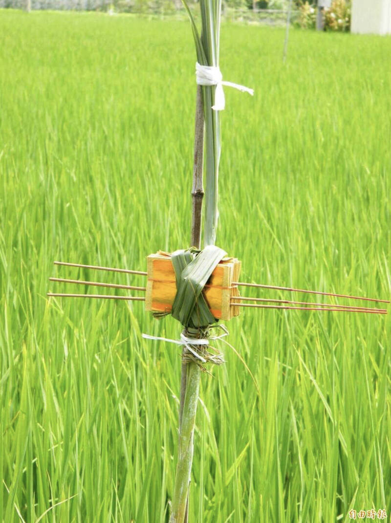 農曆8月15日是中秋節也是土地公得道日，農民會在田頭插上「土地公枴」，祈求土地公保祐穀物豐收。（資料照）