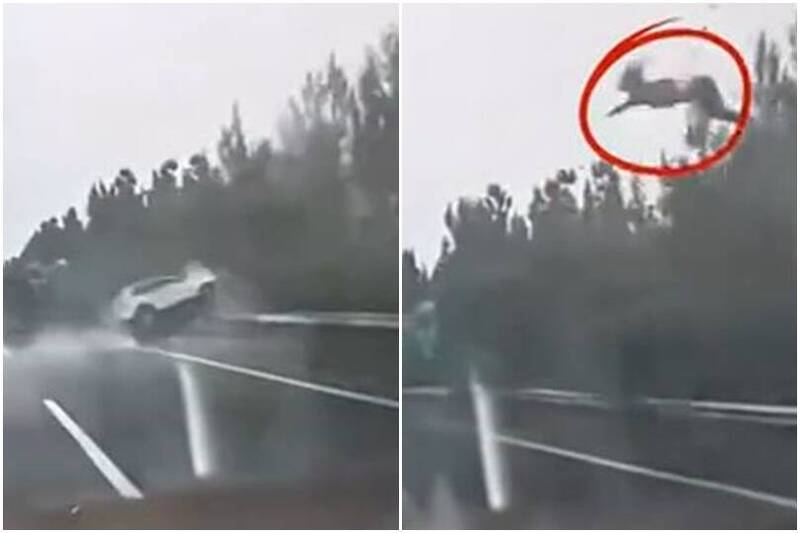 雨天釀慘劇！中國山西SUV撞護欄翻車 女乘客噴飛畫面曝