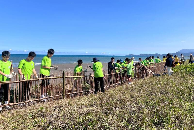 「堆砂籬」用竹材架設1公尺高的竹籬笆，旁邊再種林投，藉此鞏固海岸地形，（圖由林保署宜蘭分署提供）