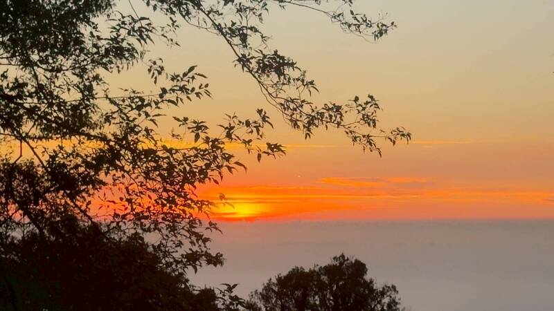 大雪山是中部地區觀賞夕陽雲海的絕佳場域。（林業署提供）