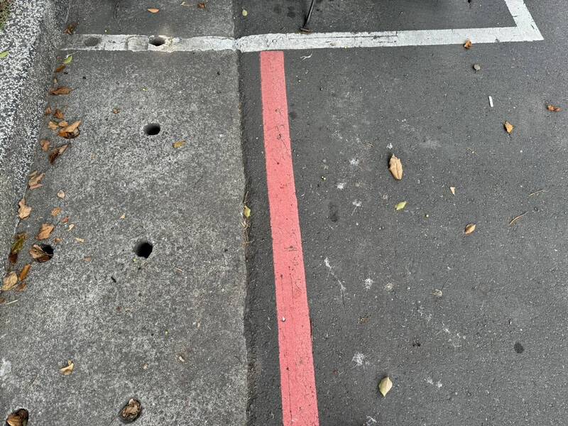 行經北大特區遭BB彈射擊？警追查...是行道樹落果