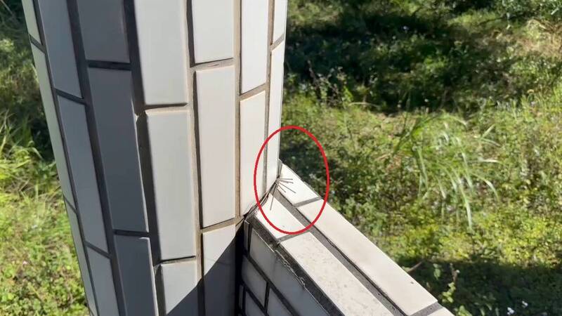 新北金姓女子与花莲庄姓女子在花莲同居,不料遭打死弃尸,凶手之一还经常到弃尸地点上香留下香脚。(民众提供) 新北金姓女子与花莲庄姓女子在花莲同居,不料遭打死弃尸,凶手之一还经常到弃尸地点上香留下香脚。(民众提供)