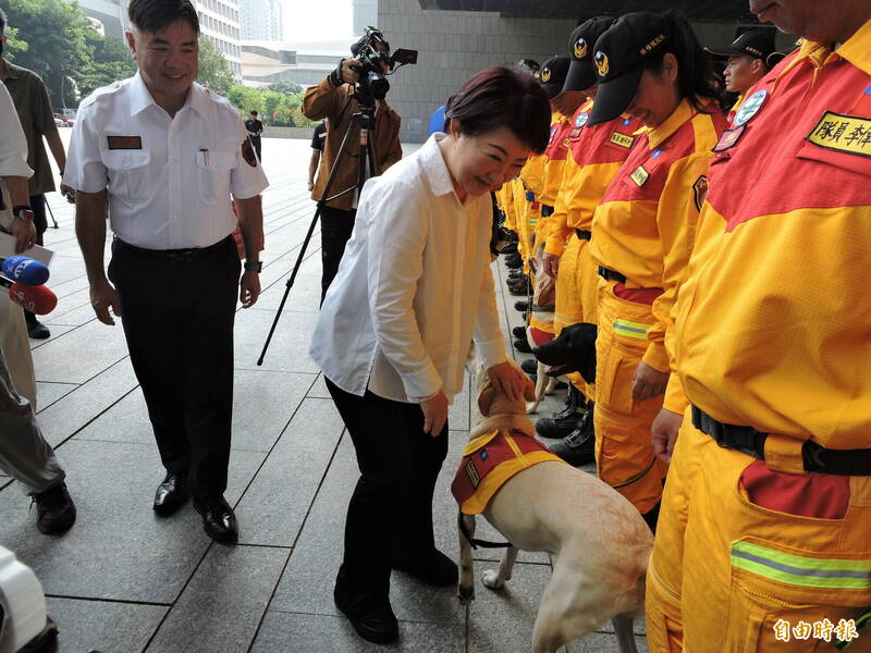 卢秀燕与4只搜救犬互动。(记者苏金凤摄) 卢秀燕与4只搜救犬互动。(记者苏金凤摄)