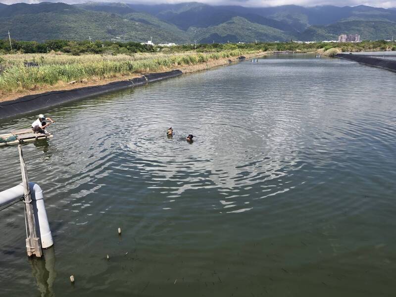 吴姓老翁捕鱼疑似失足落水,遭救起时已无生命征象。(民众提供) 吴姓老翁捕鱼疑似失足落水,遭救起时已无生命征象。(民众提供)