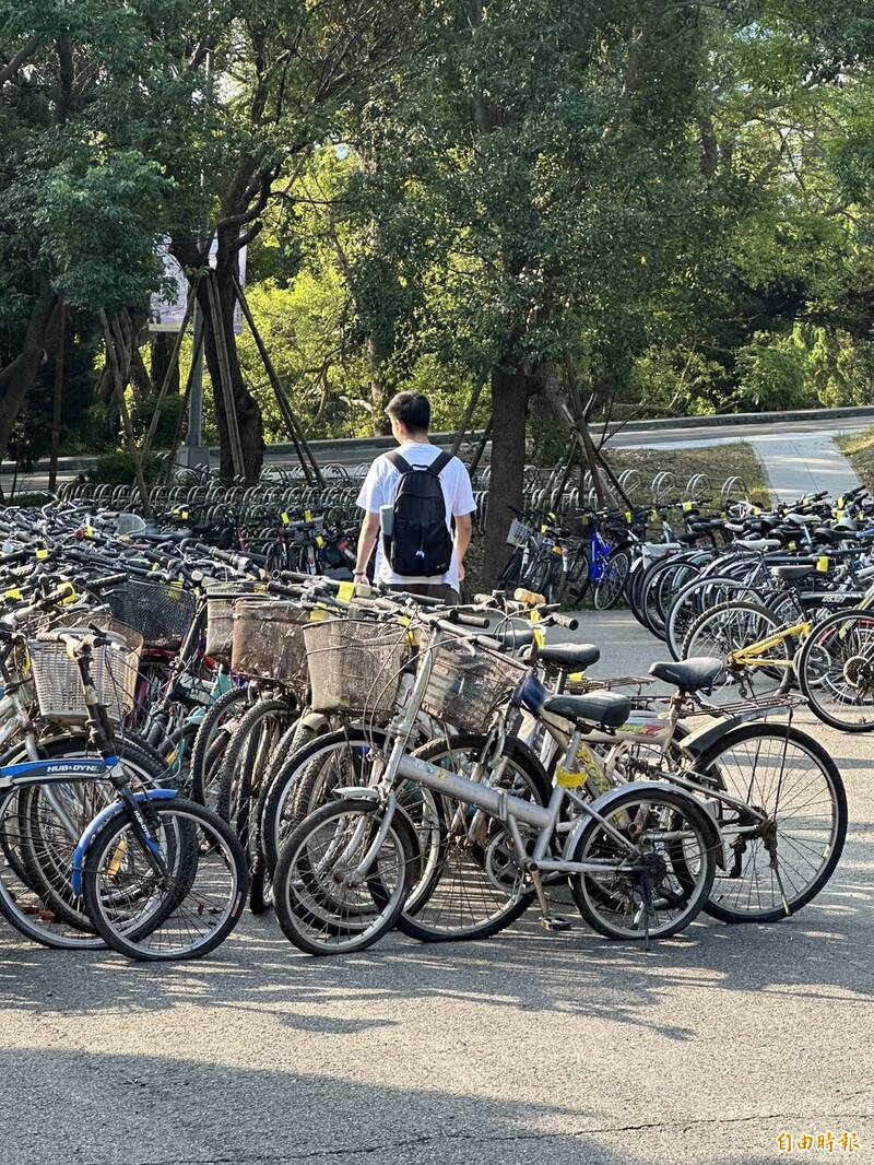 清華大學今年有344輛無主腳踏車開放認養，不少學生今天一早就去排隊，直呼搶到就賺到。（記者洪美秀攝）