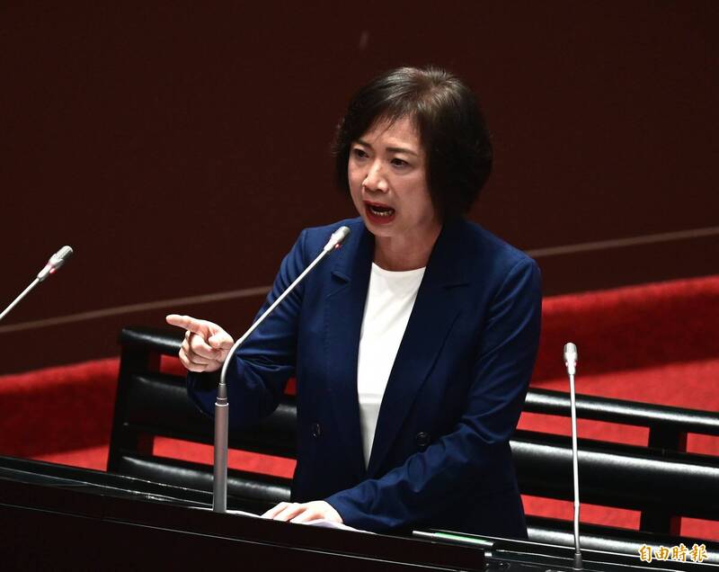 民進黨立委何欣純。（資料照，記者王藝菘攝）