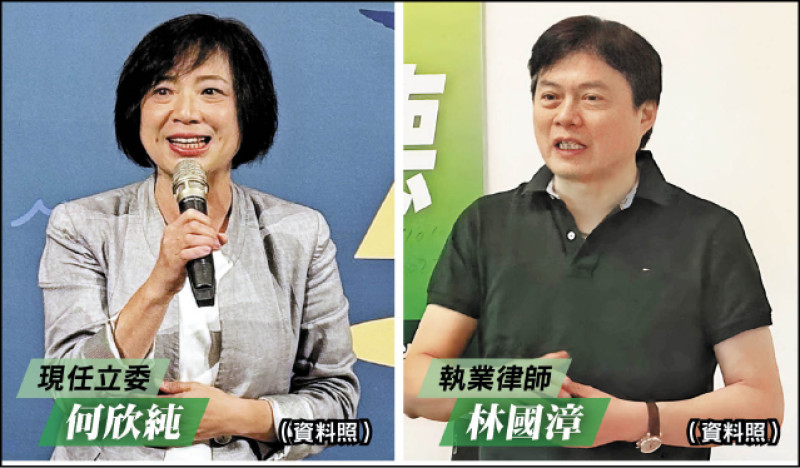 2026縣市長選舉》民進黨選對會拍板 何欣純出征中市 林國漳參選宜縣