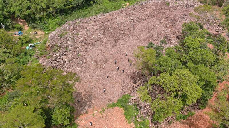 苗栗三義山坡地保育區遭棄置1.3萬噸廢樹枝 地主犯罪所得204萬沒收