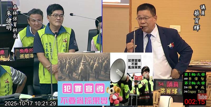 北有堅系、南有輝系！蔡育輝妙招「抓猴計」笑翻議場