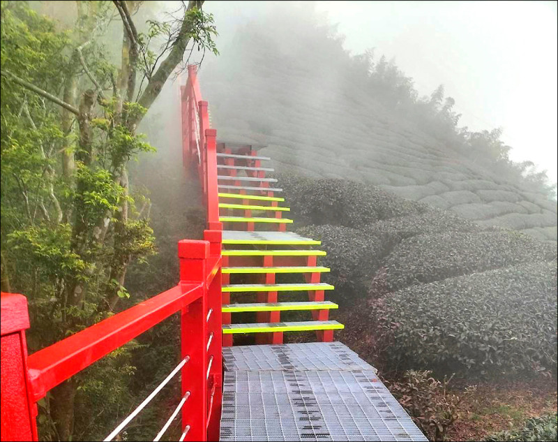 秋訪嘉義 梅山茶園步道漫遊趣
