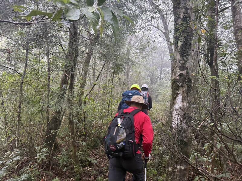 宜县消防局今持续派员到阿玉山搜寻失联黄姓山友的下落。(资料照) 宜县消防局今持续派员到阿玉山搜寻失联黄姓山友的下落。(资料照)