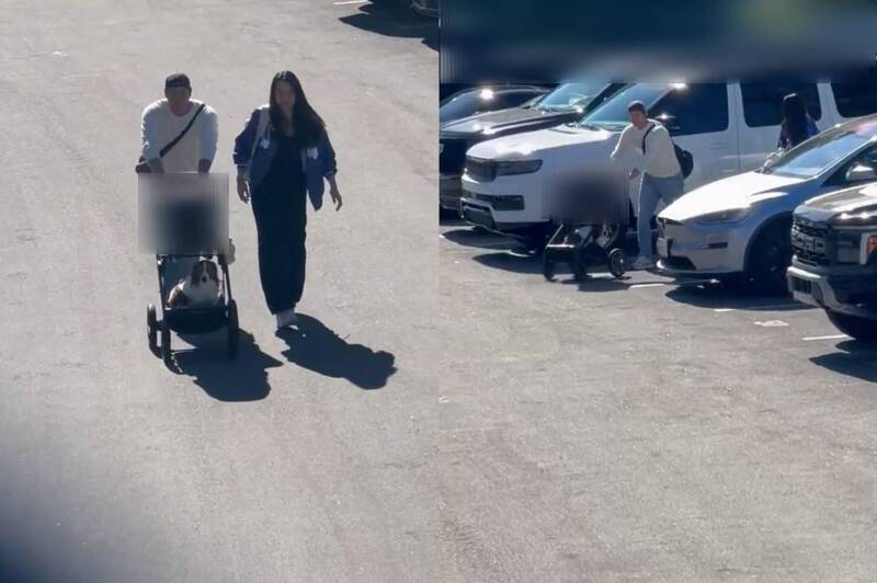 网上目前疯传一段疑似私生饭偷拍大谷翔平陪同妻女、爱犬低调进入球场的画面。(图撷取自@MrHeismanberg社群平台「X」,本报合成) 网上目前疯传一段疑似私生饭偷拍大谷翔平陪同妻女、爱犬低调进入球场的画面。(图撷取自@MrHeismanberg社群平台「X」,本报合成)