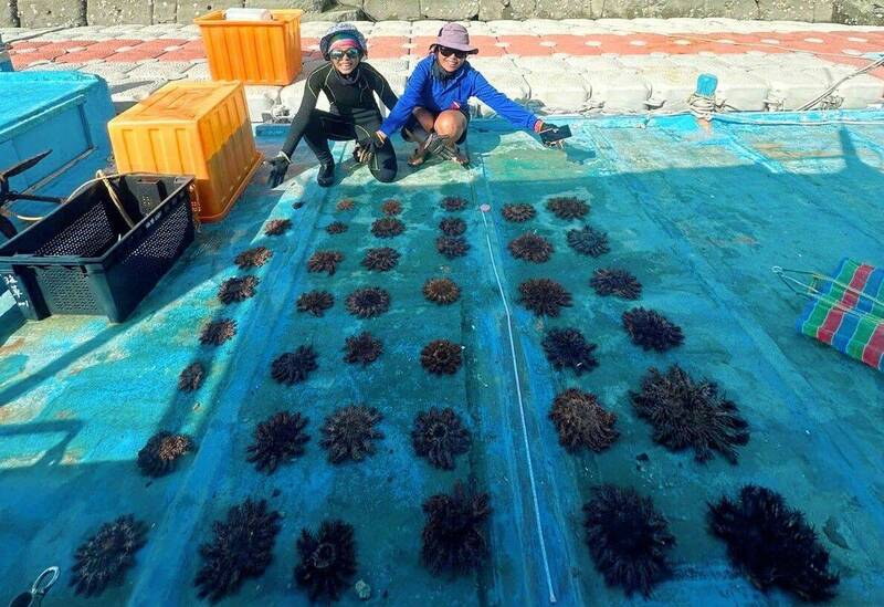 東吉東突棘行動 順手清出滿船海廢