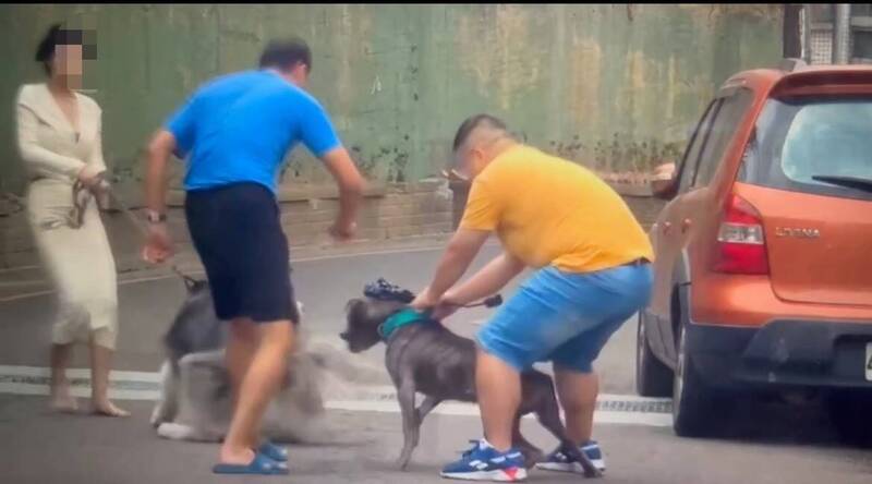 新竹县竹北市模特儿「栗子」昨天趁凉爽天气牵绳带著爱犬出门散步,竟突遭比特犬攻击,幸遇两名热心男士协助将狗分开脱困。(翻摄自Threads @davidyuyuyu帐号 授权提供) 新竹县竹北市模特儿「栗子」昨天趁凉爽天气牵绳带著爱犬出门散步,竟突遭比特犬攻击,幸遇两名热心男士协助将狗分开脱困。(翻摄自Threads @davidyuyuyu帐号 授权提供)