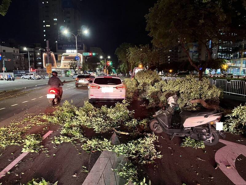 傾倒路樹波及3汽機車，女騎士受傷送醫。（民眾提供）