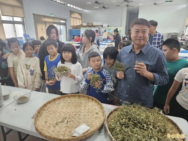 澎湖成功社區「手炒茶香趴網趣」 串起地方文化與世代傳承