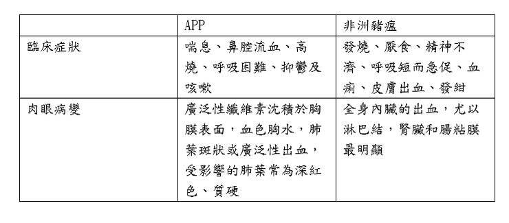 胸膜型肺炎(APP)與非洲豬瘟症狀差別。(台中市政府提供) 胸膜型肺炎(APP)與非洲豬瘟症狀差別。(台中市政府提供)