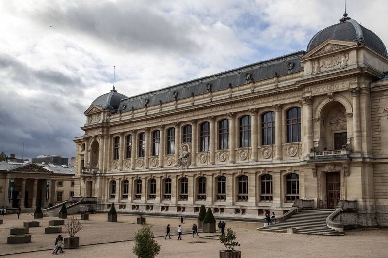 法国巴黎自然历史博物馆。(欧新社) 法国巴黎自然历史博物馆。(欧新社)