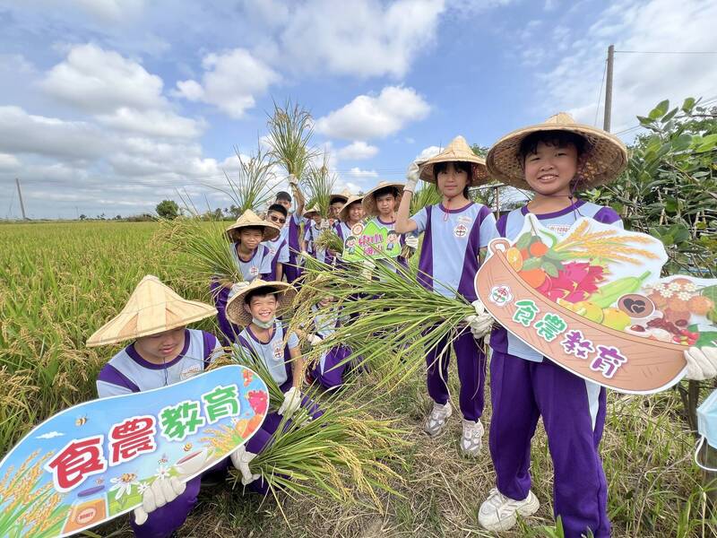 稻浪飄香 東山國小學童割稻趣
