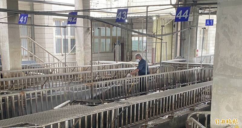 防疫破功!台中爆發非洲豬瘟 養豬業者如臨大敵